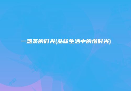 一盏茶的时光(品味生活中的慢时光)