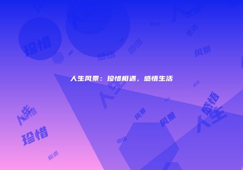 人生风景：珍惜相遇，感悟生活