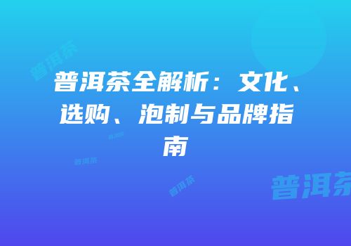 普洱茶全解析：文化、选购、泡制与品牌指南