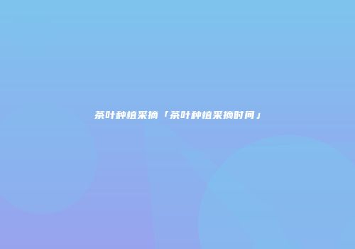 茶叶种植采摘「茶叶种植采摘时间」