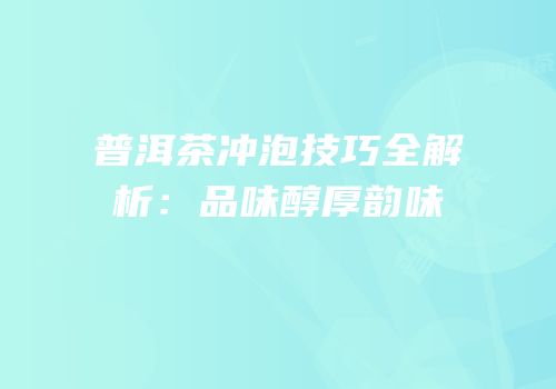 普洱茶冲泡技巧全解析：品味醇厚韵味