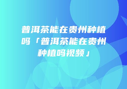 普洱茶能在贵州种植吗「普洱茶能在贵州种植吗视频」