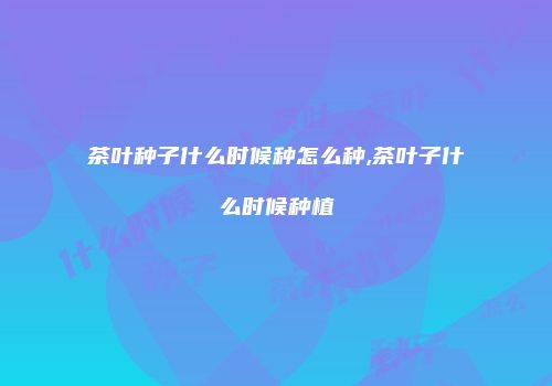 茶叶种子什么时候种怎么种,茶叶子什么时候种植