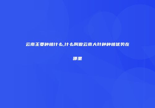 云南主要种植什么,什么叫做云南大叶种种植优势在哪里