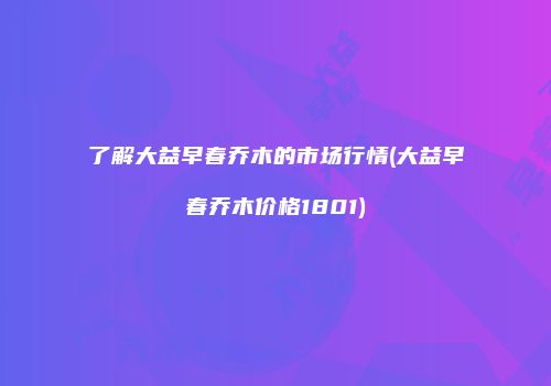 了解大益早春乔木的市场行情(大益早春乔木价格1801)