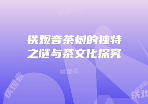 铁观音茶树的独特之谜与茶文化探究