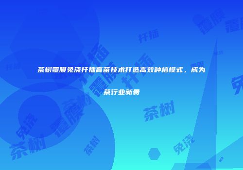 茶树覆膜免浇扦插育苗技术打造高效种植模式，成为茶行业新贵