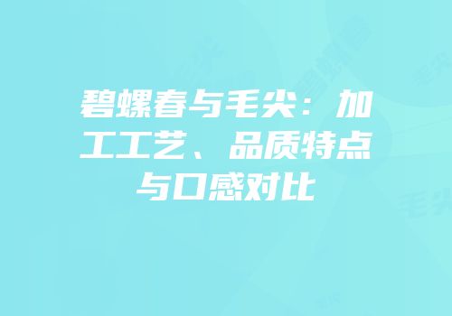 碧螺春与毛尖：加工工艺、品质特点与口感对比