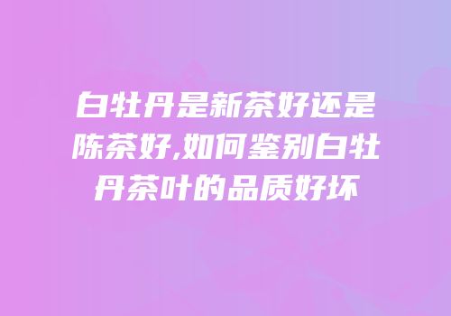 白牡丹是新茶好还是陈茶好,如何鉴别白牡丹茶叶的品质好坏