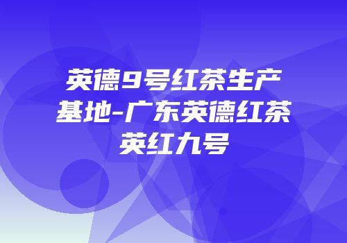 英德9号红茶生产基地-广东英德红茶英红九号