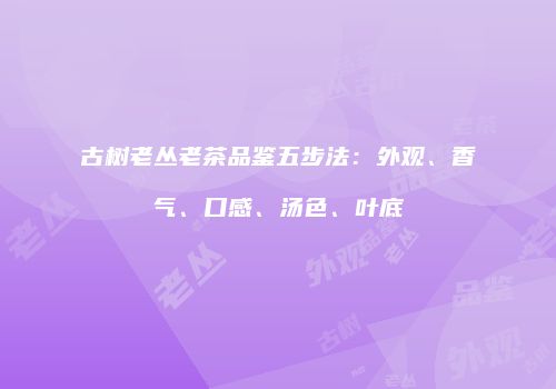 古树老丛老茶品鉴五步法：外观、香气、口感、汤色、叶底