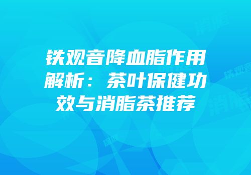 铁观音降血脂作用解析：茶叶保健功效与消脂茶推荐