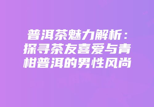 普洱茶魅力解析：探寻茶友喜爱与青柑普洱的男性风尚