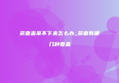 茶壶盖拿不下来怎么办_茶壶有哪几种壶盖