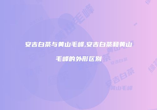 安吉白茶与黄山毛峰,安吉白茶和黄山毛峰的外形区别