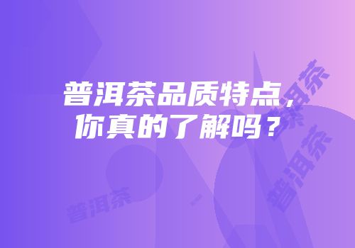 普洱茶品质特点，你真的了解吗？