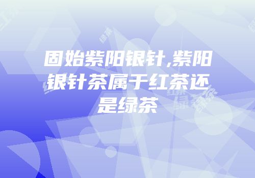 固始紫阳银针,紫阳银针茶属于红茶还是绿茶