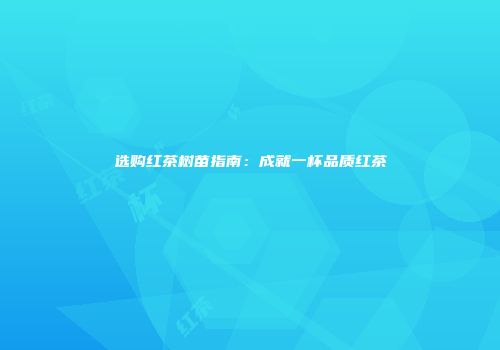 选购红茶树苗指南：成就一杯品质红茶