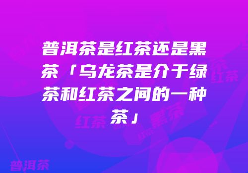 普洱茶是红茶还是黑茶「乌龙茶是介于绿茶和红茶之间的一种茶」