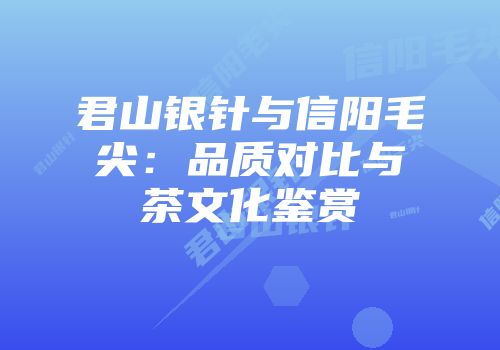 君山银针与信阳毛尖：品质对比与茶文化鉴赏