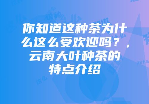 你知道这种茶为什么这么受欢迎吗？,云南大叶种茶的特点介绍
