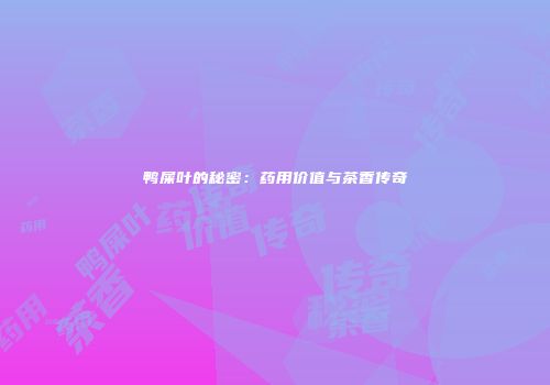 鸭屎叶的秘密：药用价值与茶香传奇