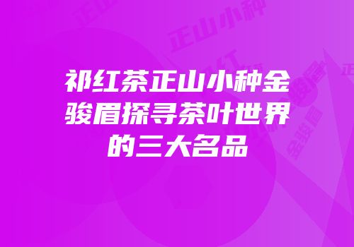 祁红茶正山小种金骏眉探寻茶叶世界的三大名品