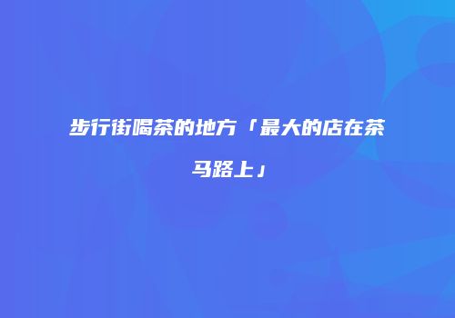 步行街喝茶的地方「最大的店在茶马路上」