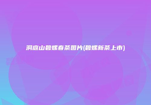 洞庭山碧螺春茶图片(碧螺新茶上市)