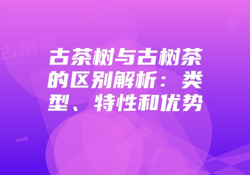 古茶树与古树茶的区别解析：类型、特性和优势
