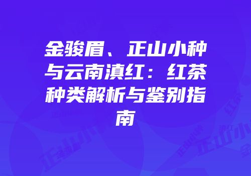 金骏眉、正山小种与云南滇红：红茶种类解析与鉴别指南