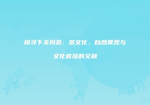 探寻下关风茶：茶文化、自然景观与文化底蕴的交融