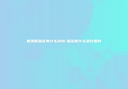 普洱配菊花有什么功效-菊花配什么茶叶喝好