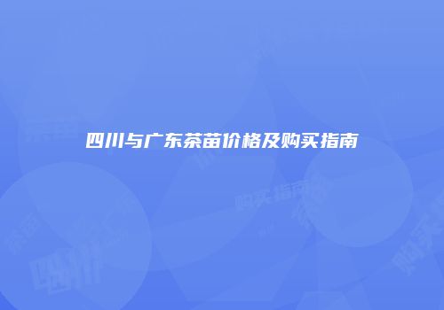 四川与广东茶苗价格及购买指南