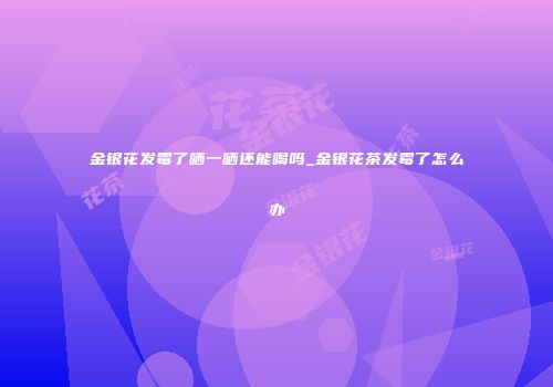 金银花发霉了晒一晒还能喝吗_金银花茶发霉了怎么办