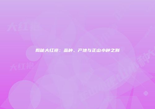 揭秘大红袍：品种、产地与正山小种之别
