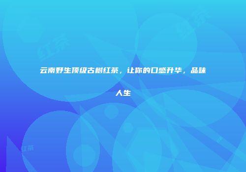 云南野生顶级古树红茶，让你的口感升华，品味人生