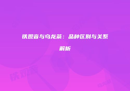 铁观音与乌龙茶：品种区别与关系解析