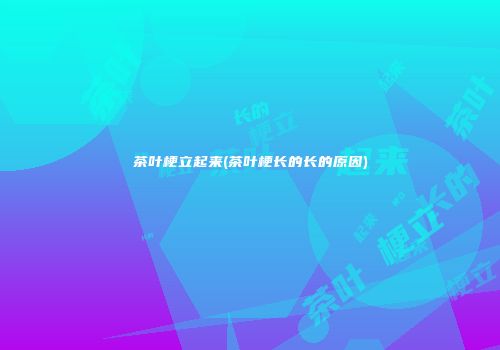 茶叶梗立起来(茶叶梗长的长的原因)