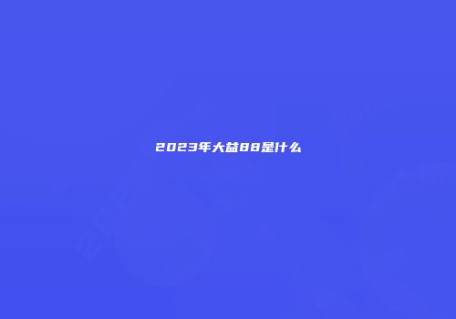 2023年大益88是什么