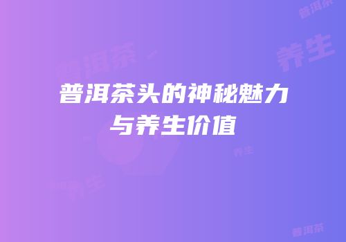 普洱茶头的神秘魅力与养生价值