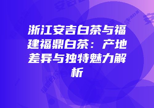 浙江安吉白茶与福建福鼎白茶：产地差异与独特魅力解析