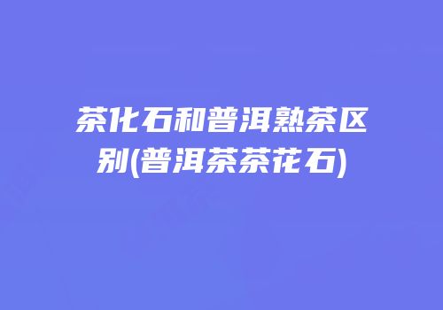 茶化石和普洱熟茶区别(普洱茶茶花石)