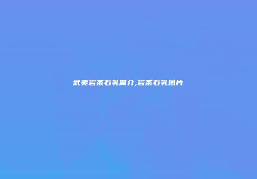 武夷岩茶石乳简介,岩茶石乳图片