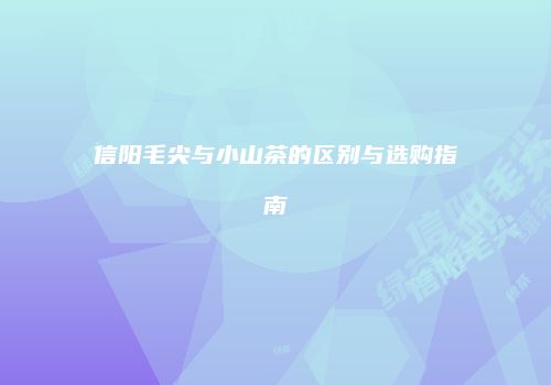 信阳毛尖与小山茶的区别与选购指南