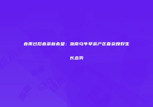 春雨过后春茶新希望：浙南乌牛早茶产区喜获良好生长态势