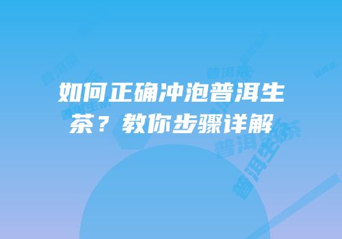 如何正确冲泡普洱生茶？教你步骤详解