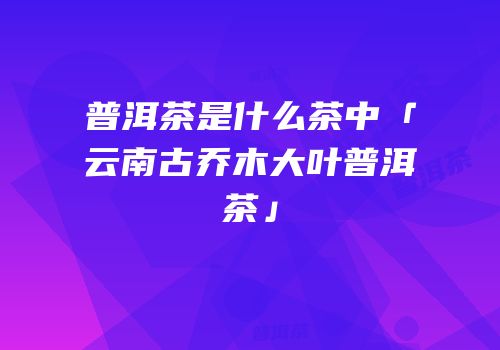 普洱茶是什么茶中「云南古乔木大叶普洱茶」
