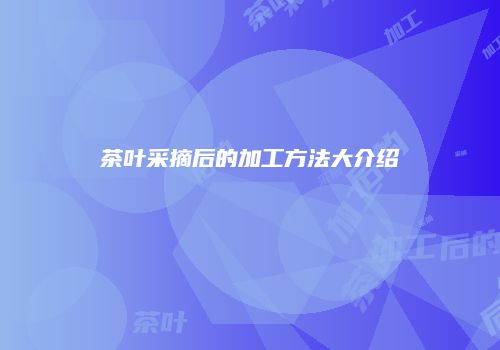 茶叶采摘后的加工方法大介绍