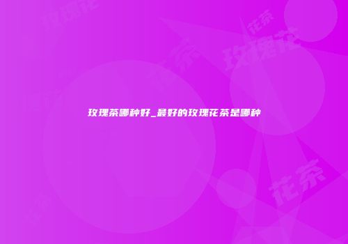 玫瑰茶哪种好_最好的玫瑰花茶是哪种